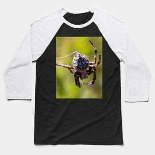 The Orb Weaver Spider hanging out in the Bush! Baseball T-Shirt